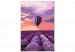 Paint by number Above the Lavender Field 138663 additionalThumb 5