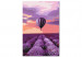 Måla med siffror Above the Lavender Field 138663 additionalThumb 6