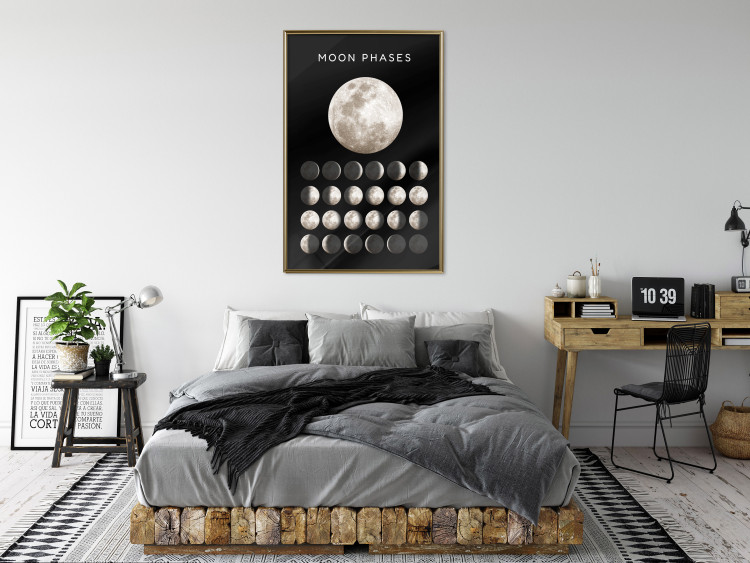 Plakat Fazy księżyca [Poster] 143363 additionalImage 13