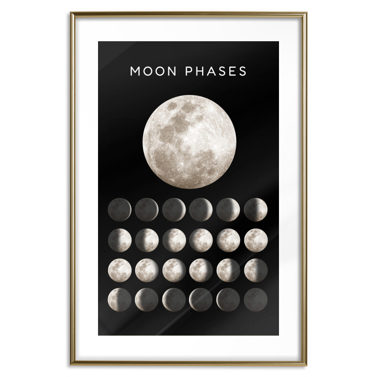 Plakat Fazy księżyca [Poster] 143363 additionalImage 21