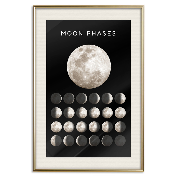 Plakat Fazy księżyca [Poster] 143363 additionalImage 22