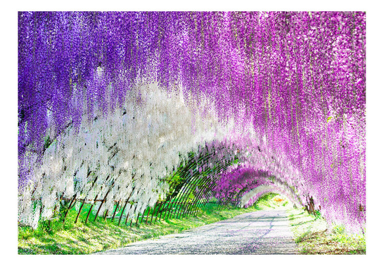 Wall Mural Enchanted garden 60563 additionalImage 1
