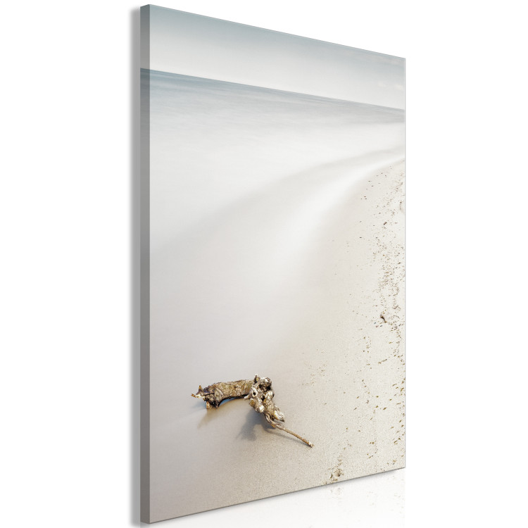 Canvas Print Scandinavian coast - calm sea and fine sand on the beach 117273 additionalImage 2