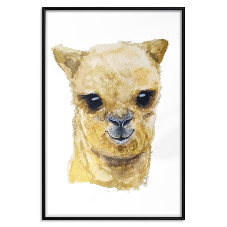 Poster Happy alpaca [Poster] 132073 additionalImage 18