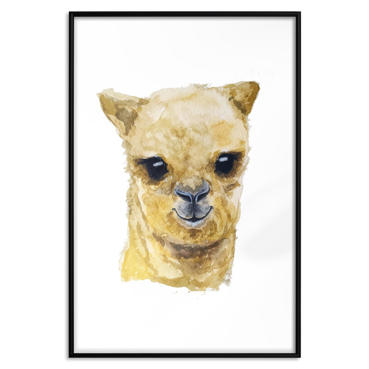 Poster Happy alpaca [Poster] 132073 additionalImage 17