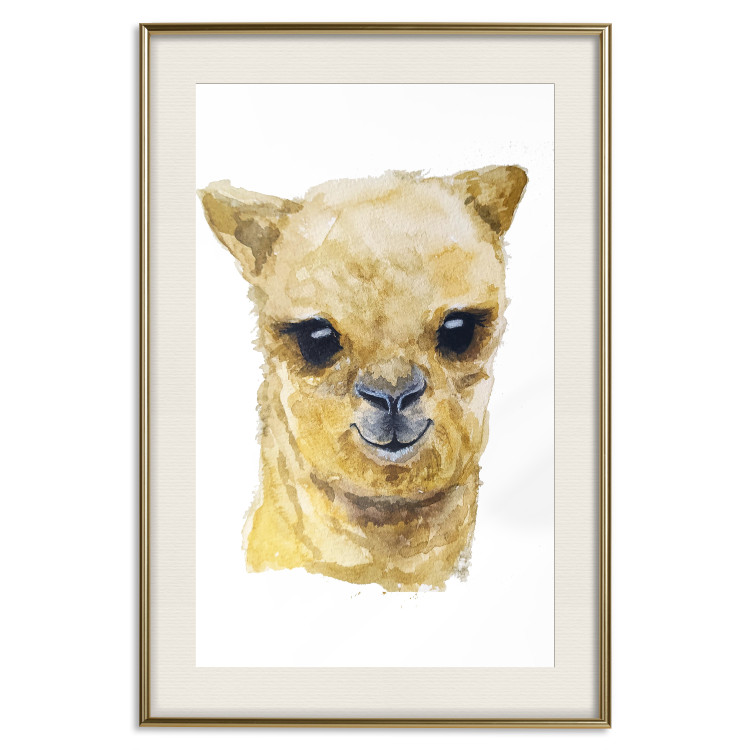 Poster Happy alpaca [Poster] 132073 additionalImage 20