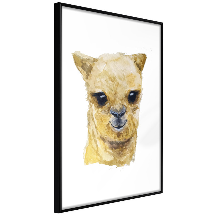 Poster Happy alpaca [Poster] 132073 additionalImage 8