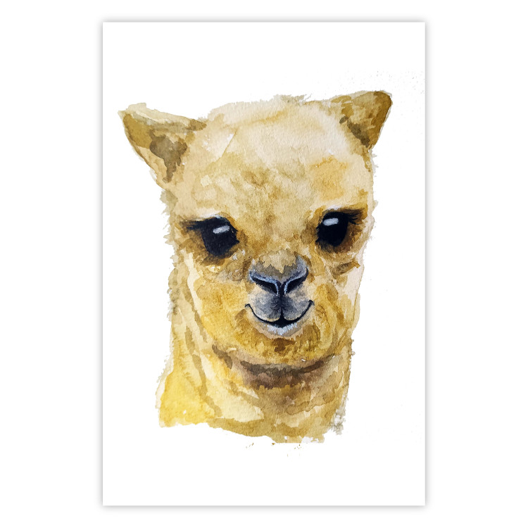 Poster Happy alpaca [Poster] 132073