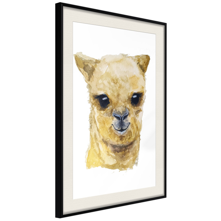 Poster Happy alpaca [Poster] 132073 additionalImage 2
