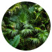  Jungle - Exotic Forest Vegetation in Green Colors 149173 additionalThumb 1