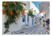 Wall Mural Greek Town - An Idyll in a Mediterranean Climate 150573 additionalThumb 1