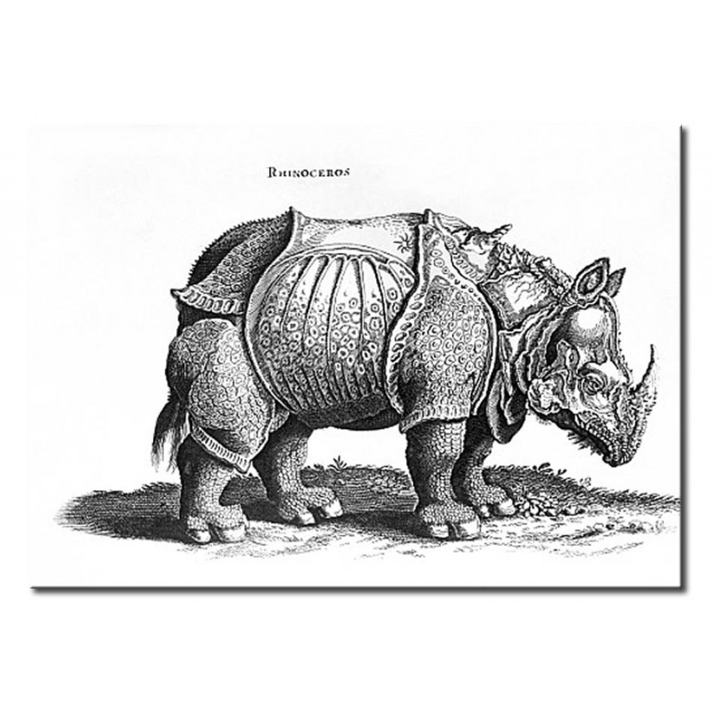 Schilderij  Albrecht Dürer: Rhino