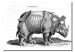 Riproduzione quadro Rinoceronte 53873