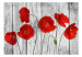 Carta da parati moderna Tale of Red Poppies 69973 additionalThumb 1