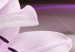 Acrylic Print Violet Desert Lily [Glass] 92373 additionalThumb 4