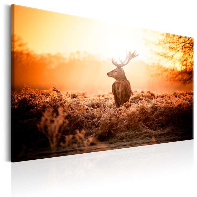 Canvas Deer in the Sun 105783 additionalImage 2