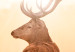 Canvas Deer in the Sun 105783 additionalThumb 5