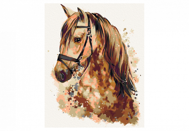 Paint by number Horse - Beauty & Elegance 107183 additionalImage 6