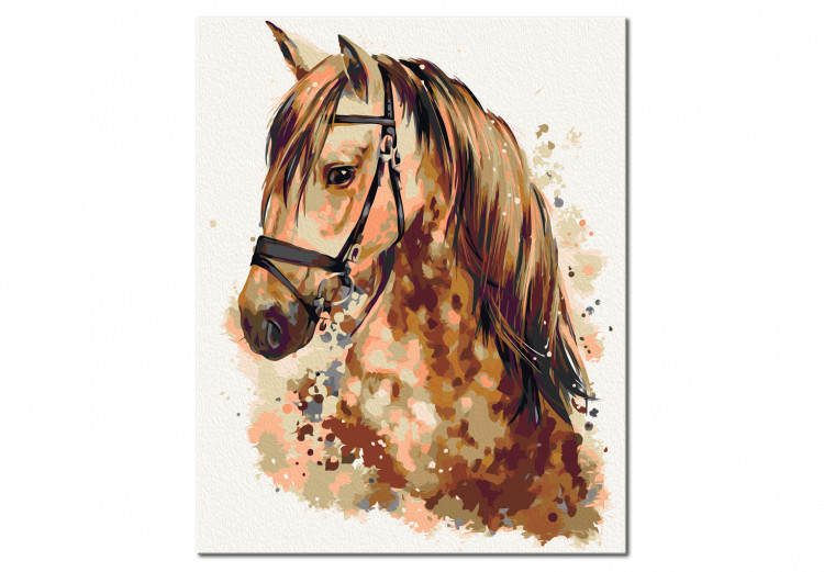 Paint by number Horse - Beauty & Elegance 107183 additionalImage 5