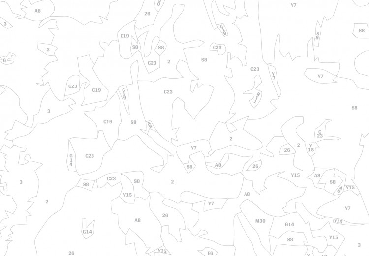 Obraz do malowania po numerach Mapa świata (jaskrawe kolory) 107483 additionalImage 4