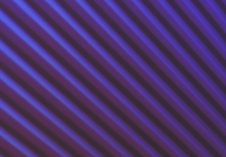 Cuadro moderno Círculo violeta - geometría abstracta sobre un fondo con patrón floral 117183 additionalImage 5