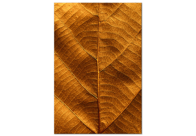 Obraz na płótnie Nerwacja liścia - fotografia w złotym kolorze z motywem botanicznym