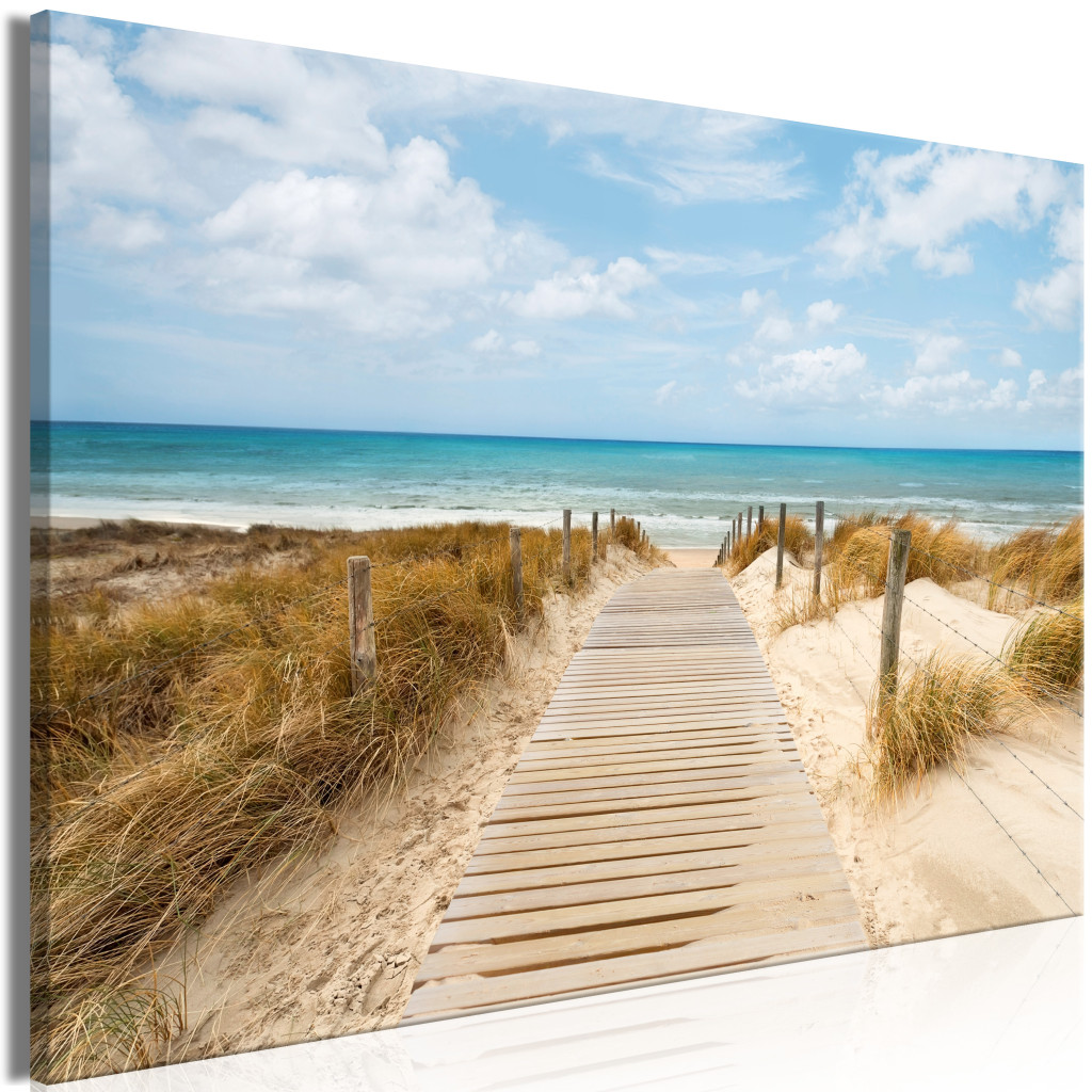Duży Obraz XXL Wietrzna Plaża [Large Format]