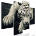 Quadro su tela Composizione in quattro parti con una tigre sdraiata 128783 additionalThumb 2