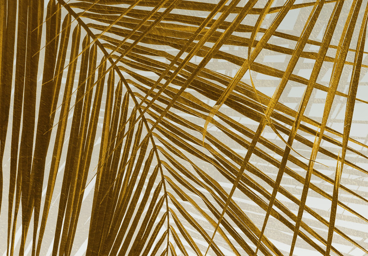 Fototapete Under a Tropical Plant - Branchy Palm Twigs With Golden Leaves 145183 additionalImage 3
