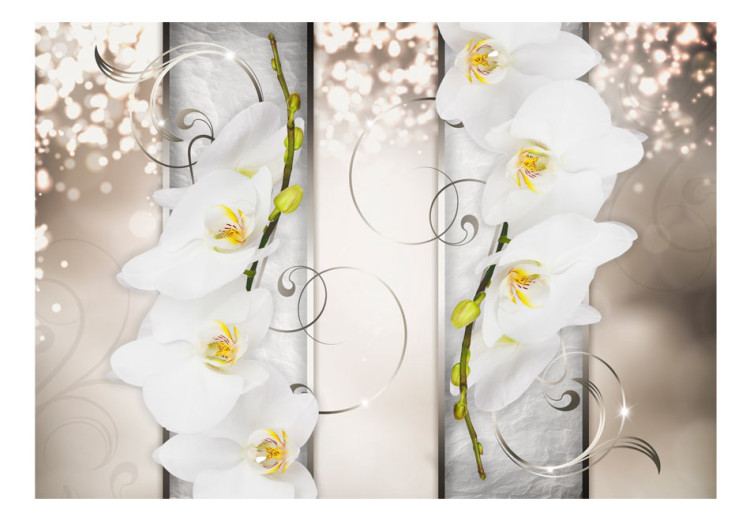 Mural Flores Elegantes - abstração com orquídeas brancas em fundo de padrão 60183 additionalImage 1