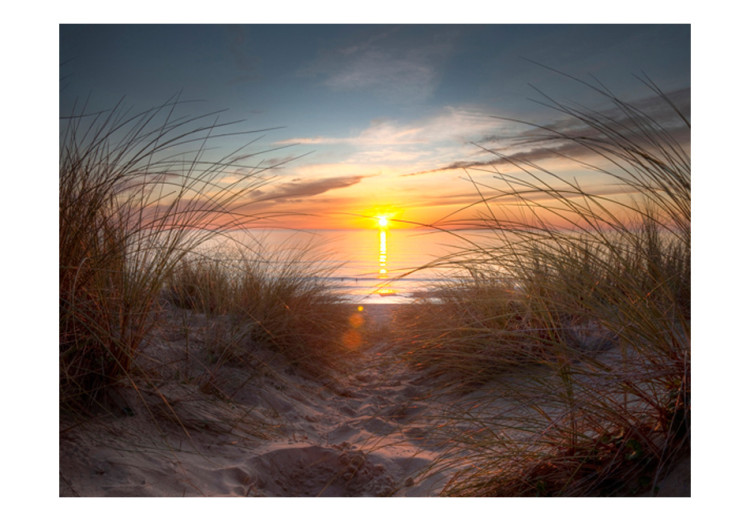 Wall Mural Sunset over the Atlantic Ocean 60483 additionalImage 1