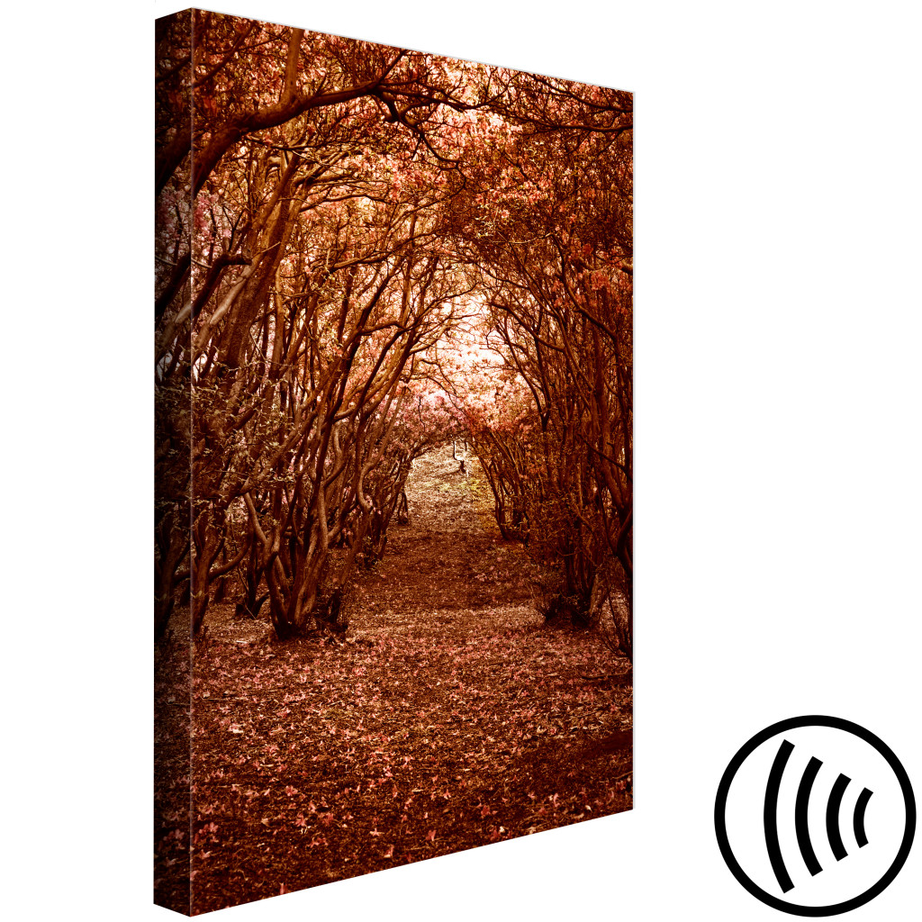 Obraz Korytarz Z Drzew - Jesienny Pejzaż ścieżki W Lesie Przysypanej Liśćmi