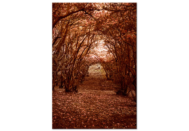 Canvastavla Trädkorridor - höstlandskap av en stig i en skog täckt av löv