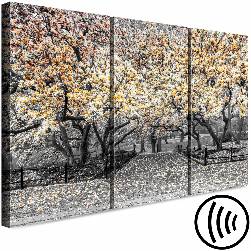 Obraz Kwitnące Magnolie - Tryptyk Z Drzewami Magnolii I żółtymi Kwiatami