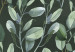 Carta da parati moderna Una pianta rampicante - foglie rampicanti su uno sfondo verde scuro 137293 additionalThumb 4