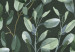 Carta da parati moderna Una pianta rampicante - foglie rampicanti su uno sfondo verde scuro 137293 additionalThumb 3