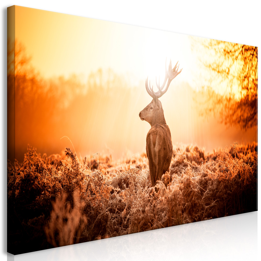 Schilderij Deer In The Sun II [Large Format]