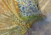 Fototapeta Pawie w tańcu - motyw ptaków wśród abstrakcyjnego deseniu w ornamenty 142393 additionalThumb 4