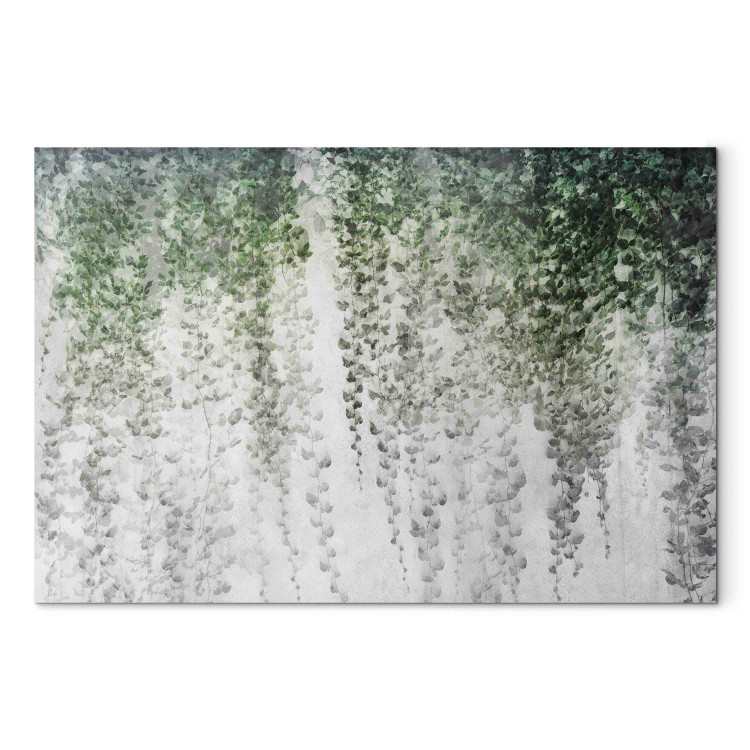 Obraz XXL Oaza spokoju - kompozycja z ciemnym bluszczem na tle ściany [Large Format]
