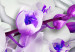 Obraz na szkle Chłód orchidei [Glass] 92393 additionalThumb 5
