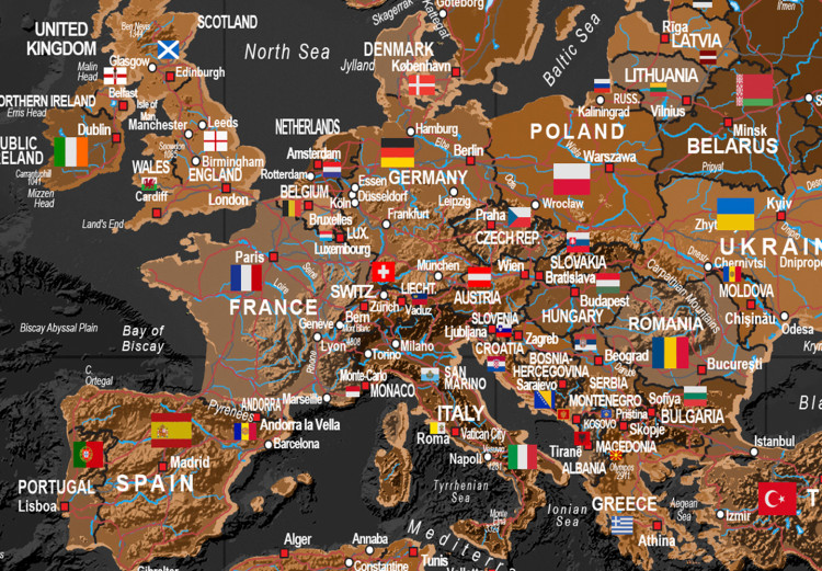 Fototapeta Czarno-brązowa stylowa mapa świata z flagami 98093 additionalImage 3
