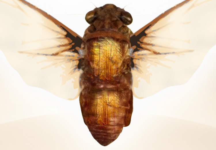 Wandbild Freigelassen von Amber - abstraktes goldenes 3D-Thema mit Insekt 122304 additionalImage 4