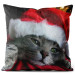 Decorative Velor Pillow Cat with Santa hat - Christmas animal on dark background 148504