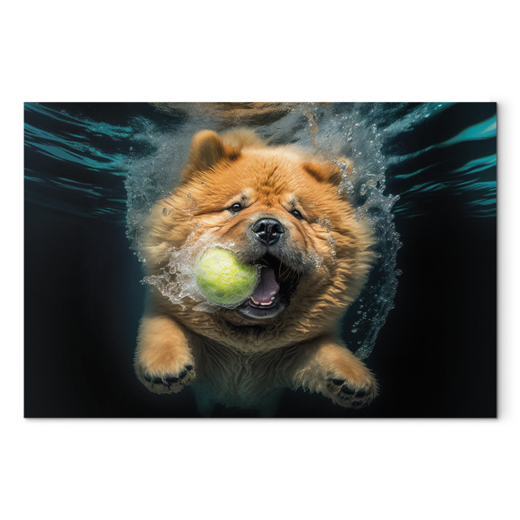 Canvas Art Print AI Dog Chow Chow - Floating Animal With a Ball in Its Mouth - Horizontal 150104
