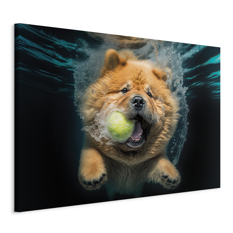 Canvas Art Print AI Dog Chow Chow - Floating Animal With a Ball in Its Mouth - Horizontal 150104 additionalImage 2
