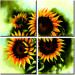 Canvas Sunflowers 48604