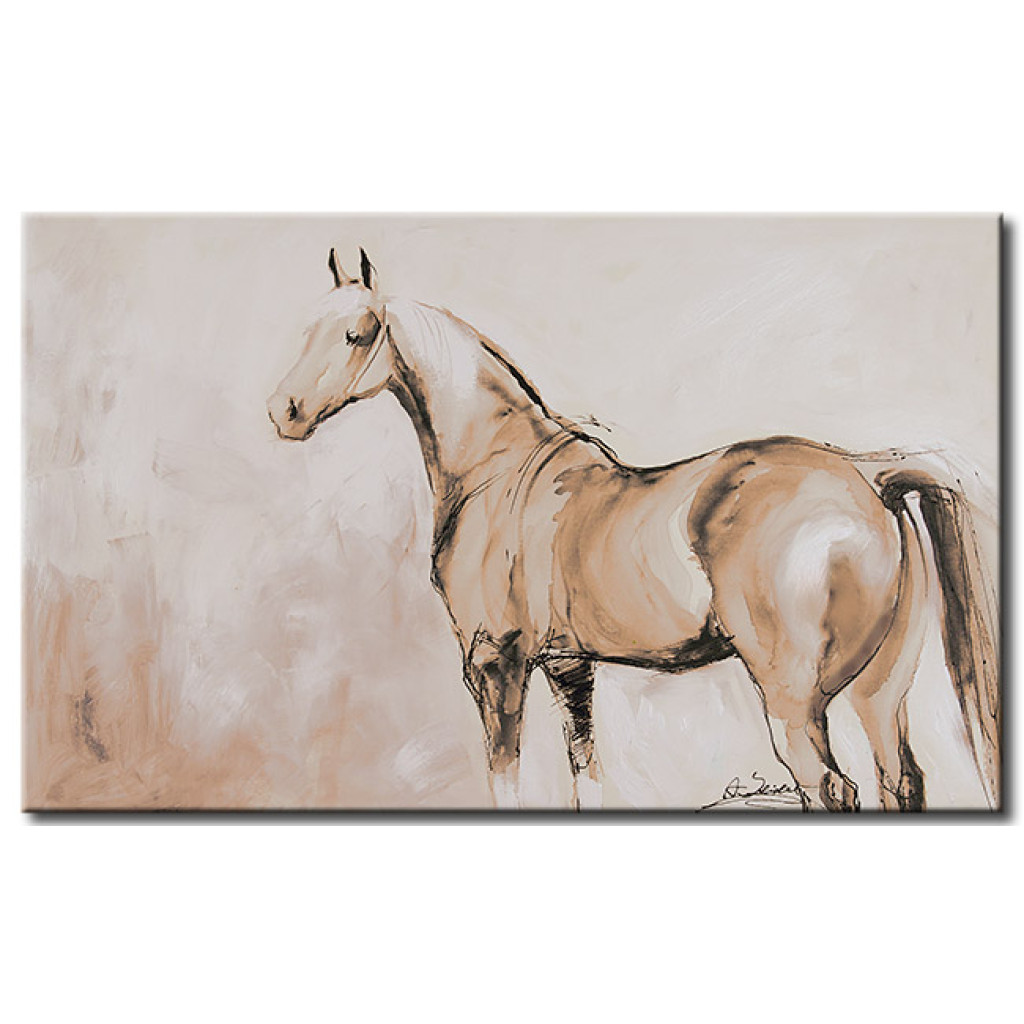 Schilderij  Paarden: Witte Paard