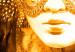 Tableau design Venise : fascination des masques  50504 additionalThumb 3