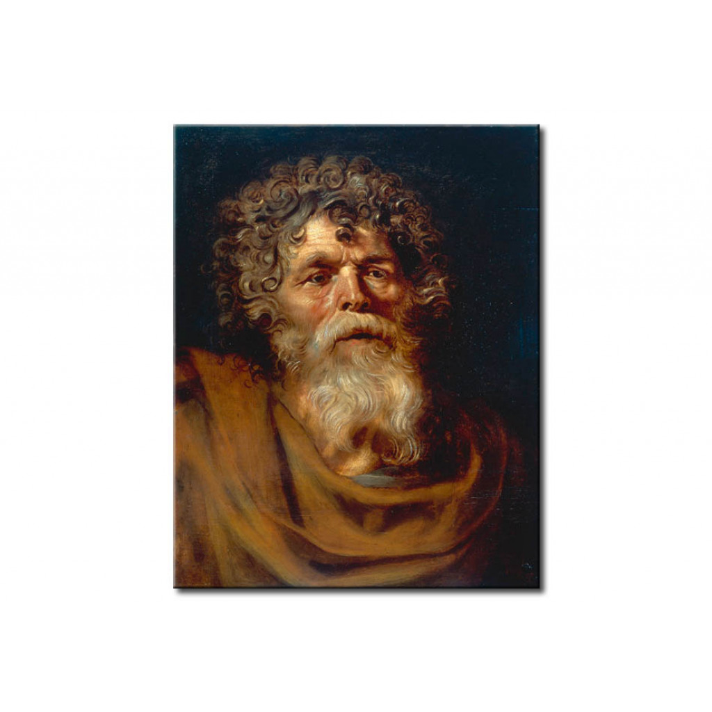 Schilderij  Peter Paul Rubens: Portrait Of A Bearded Old Man