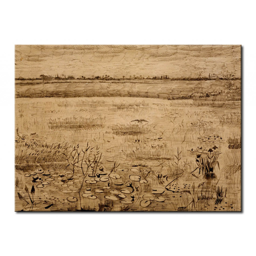 Schilderij  Vincent Van Gogh: Marsh With Water Lillies